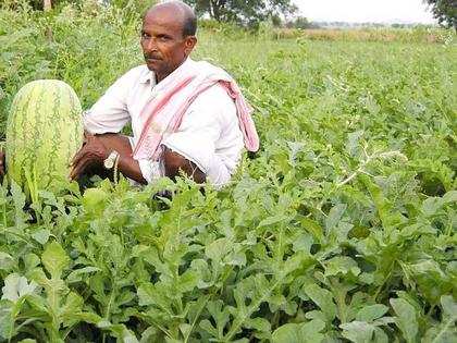 Rabi planting up 6%, chana may stabilise
