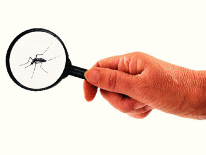 Six tsted positive for Chikungunya in Ganjam