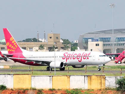 SpiceJet flies high, stock soars nearly 7% on solid results