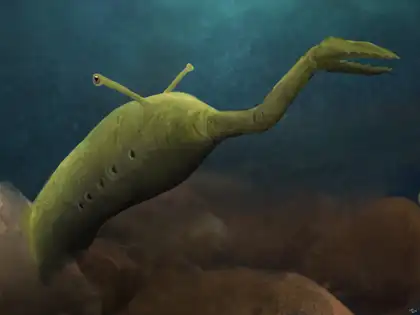 The Tully Monster: A Strange Fossil from Illinois That Continues to Puzzle  Scientists - The Economic Times