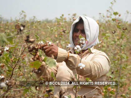 We are trying to gradually raise the productivity of Indian cotton farmers: Textile secretary