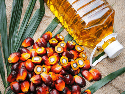 Palm oil drops to near 4-month low on lower export forecast, political turmoil