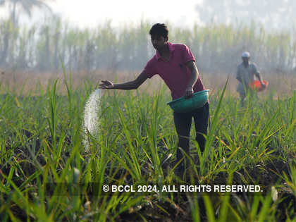 Urea may come under NBS before direct cash transfer