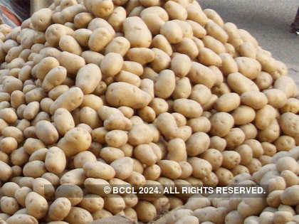 Northern Bengal potato sector under trouble