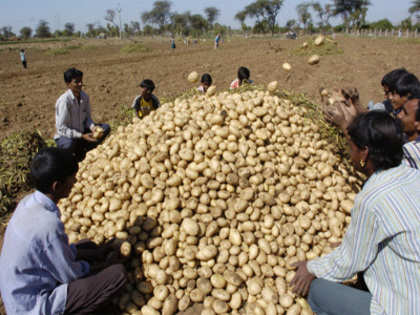 Government to import potatoes to curb rising prices