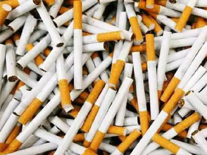 is tobacco native to india native-plant-society-indian-tobacco-is-a-blast-from-the-past-in-redding Tobacco use in India down
