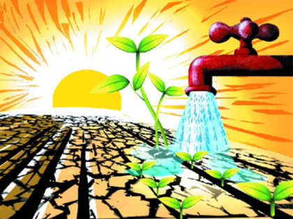138 minor irrigation projects to be inaugurated on August 14