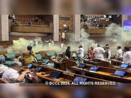 Lok Sabha security breach: Committee probing incident suggests flagging those who visit Parliament multiple times, say sources