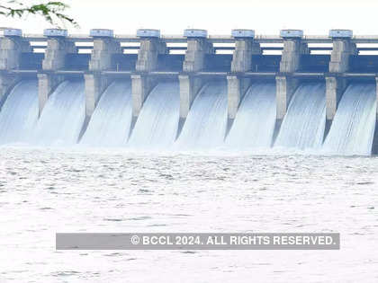 India requires 18 GW capacity addition to meet hydro purchase obligation norms by 2030: Icra