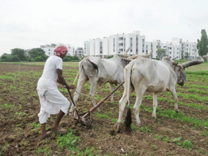 614 Gujarat farmers committed suicide in 10 years, alleges Congress