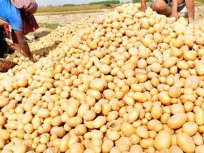 Agriculture Ministry approves procurement of 1 lakh tonne potatoes from Uttar Pradesh farmers