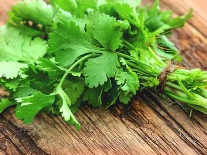 Coriander futures fall 2% on low demand