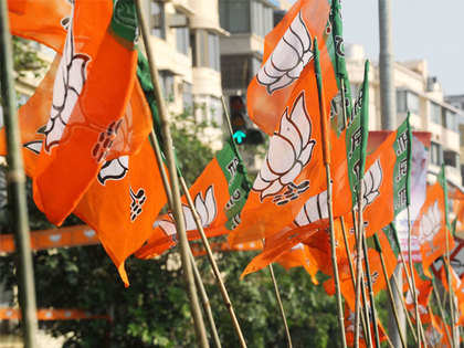 AAP like any other political party: BJP