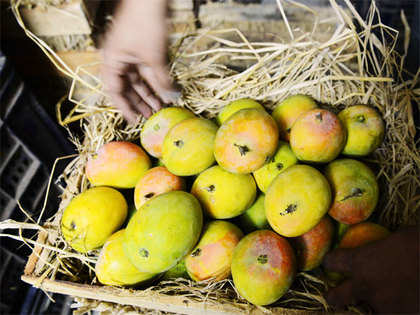 Mango production in UP may halve to 43 lakh tonnes: Assocham