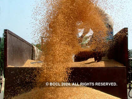 Flour millers urge Govt to sell wheat in open market to ease prices