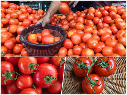 Tomato prices break new barrier of Rs 200/kg in Mumbai