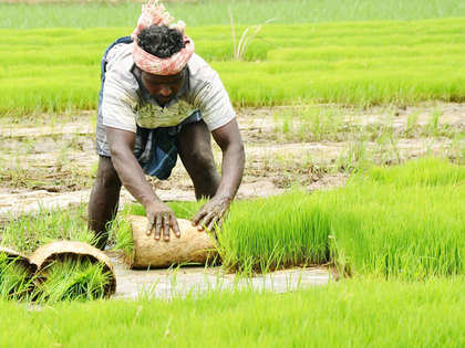 Jain Irrigation bags Rs 473 crore tender from MSEDCL