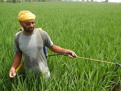 Food safety being compromised due to use of pesticide: Centre for Science and Environment