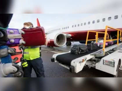 Government asks airlines to ensure last bag arrives at baggage belt within 30 minutes