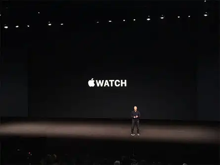 Selling in just 8 months of 2015, we became the 2nd most popular watch brand: Tim Cook
