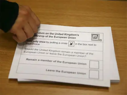 Both sides of the campaign have urged the nearly 46,499,537 registered voters, including 1.2 million British Indians, for a big turnout.