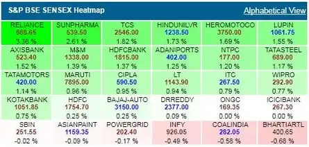 SENSEX RALLIES OVER 300 POINTS
