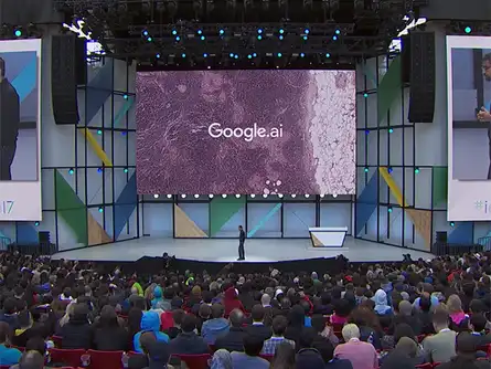 With Google.ai, we are bringing together a collection of efforts and teams to bring the benefits of AI to everyone: Sundar Pichai