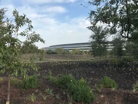 Steve's vision and passion live on in Apple Park