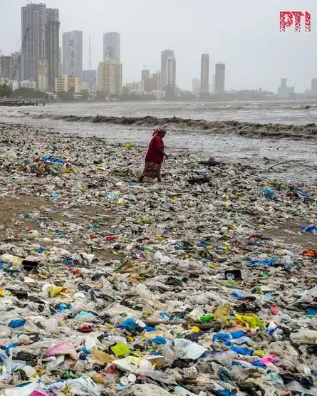 Mumbai rains live: A ragpicker collects waste washed ashore following a high tide at Dadar Beach in Mumbai