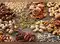 Image for Flipkart SASA LELE Sale 2026: Best Nuts and Dry Fruits for Energy, Immunity and Healthy Living
