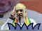 BJP has already crossed 310-mark, Congress struggling to get 40: Amit Shah in UP's Siddharthnagar:Image