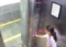 Noida dog attack: Girl attacked by pet dog in housing society lift. Watch video:Image