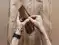 Image for 10 Best Wallets for Men Online: Functional Picks to Match your Style