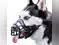 Image for Best dog muzzles for safety, comfort, and control: Top picks for all breeds