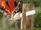 Image for 10 Best Chainsaw Machines in India Engineered for Effortless Cutting (2024)