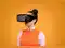 Image for Best VR headsets in India: Unleash the Immersive Virtual Reality