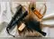 Image for Best Hair Straightener in the UAE: Unlock Your Hair's Potential