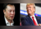 Donald Trump's firm shares crash near historic lows. Is interview with Elon Musk to be blamed?:Image