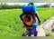 Image for Best power sprayers for agriculture: Enhance your farming efficiencies