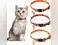 Image for Best cat collars for your furry friend - Comfort, Style and Safety Guaranteed!