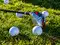 Image for 7 Best Golf Clubs for Beginners: Master the Game with Quality Gear (2023)