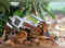 Kerala landslides: At least 123 dead, over 100 missing:Image