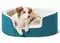 Image for 10 Best Dog Beds in India offering Snuggly Warmth for Every Pup's Dream Sleep