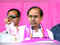 BRS can effectively fight for people of Telangana if it wins 10-12 Lok Sabha seats: KCR:Image
