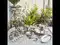 Image for Sturdy, Shiny and Rust-Free: 10 Best Stainless Steel Dinner Sets in India 2026