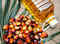 India June palm oil imports rise about 3% MoM:Image