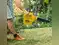 Image for Best Leaf Blowers of 2024: Lightweight, Durable, and Budget-Friendly Options
