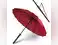Image for Best Designer and Fancy Umbrellas to Elevate Your Rainy Day Style