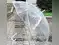 Image for Best transparent umbrellas: Stylish, sturdy, and clear protection for rainy days