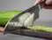Image for Best kitchen knives: Essential tools for culinary excellence